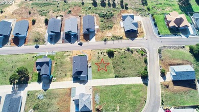 OCEAN TERRACE! Coveted Ocean Terrace lot near Bandon's world - photo 15