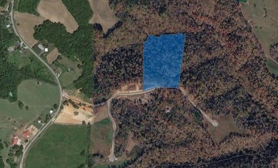 Welcome to tract 4 of the Village at Dale Hollow, a race - photo 6