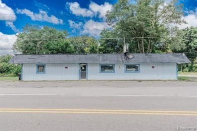 Lake Home For Sale in Hamburg, Michigan