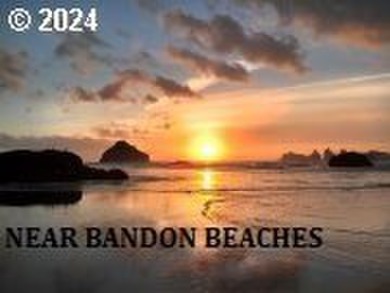 OCEAN TERRACE! Coveted Ocean Terrace lot near Bandon's world - photo 24