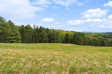 (private lake, pond, coastal) Acreage For Sale in Glendale Springs North Carolina