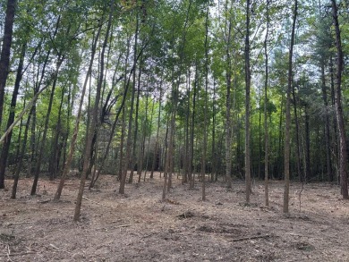 Lake Acreage For Sale in Thaxton, Mississippi