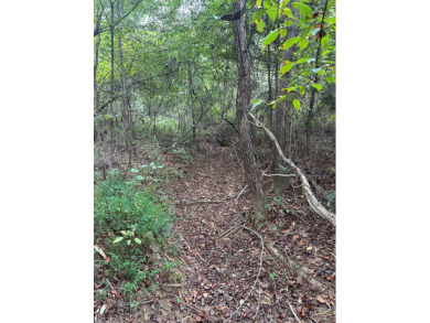 WELCOME TO THE PONTOTOC 34.2-A BEAUTIFUL TRACT LOCATED IN - photo 2