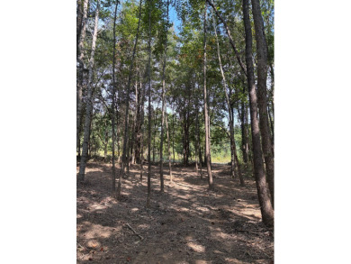 WELCOME TO THE PONTOTOC 34.2-A BEAUTIFUL TRACT LOCATED IN - photo 3