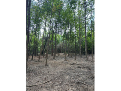 WELCOME TO THE PONTOTOC 34.2-A BEAUTIFUL TRACT LOCATED IN - photo 4