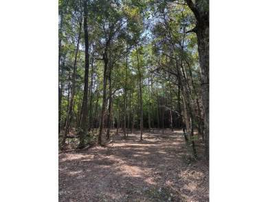 WELCOME TO THE PONTOTOC 34.2-A BEAUTIFUL TRACT LOCATED IN - photo 5