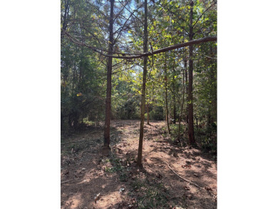 WELCOME TO THE PONTOTOC 34.2-A BEAUTIFUL TRACT LOCATED IN - photo 8