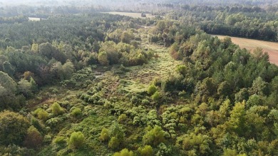 WELCOME TO THE PONTOTOC 34.2-A BEAUTIFUL TRACT LOCATED IN - photo 10