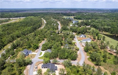 Build your dream home on this .22-acre buildable lot located in - photo 6