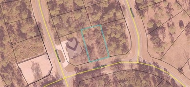 Build your dream home on this .22-acre buildable lot located in - photo 9