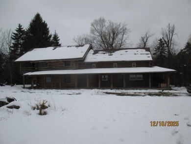 (private lake, pond, creek) Home Active Under Contract in Pittsford Michigan