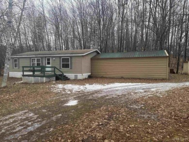 Lake Home For Sale in Florence T-WI, Wisconsin