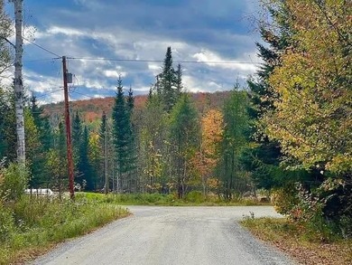 MINGO LOOP - Welcome to Lot 12 on Doe Path in beautiful - photo 4