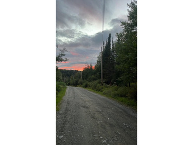 MINGO LOOP - Welcome to Lot 12 on Doe Path in beautiful - photo 5