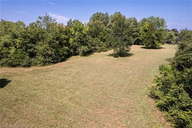 Breathtaking Views of the Arkansas River! All this lot needs is - photo 11
