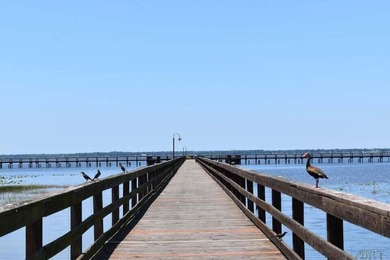 Half acre lot located in tranquil community of Indian Lake - photo 11