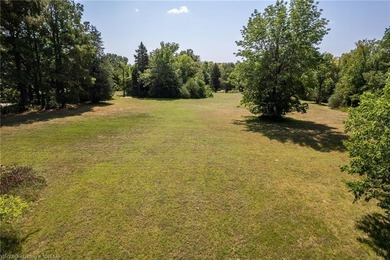 Breathtaking Views of the Arkansas River! All this lot needs is - photo 12
