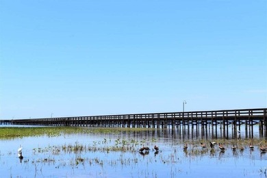 Half acre lot located in tranquil community of Indian Lake - photo 12