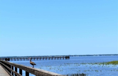 Half acre lot located in tranquil community of Indian Lake - photo 13