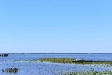 Half acre lot located in tranquil community of Indian Lake - photo 14