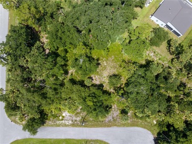 Rare Development Opportunity in North Port! Owner will sell - photo 3