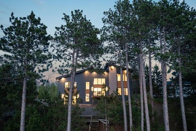 There are a handful of properties on Gull Lake where the setting - photo 7