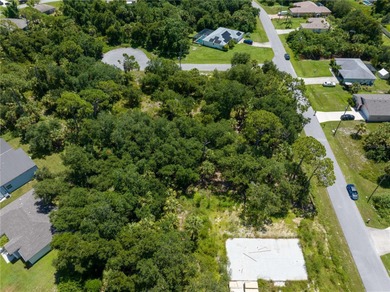 Rare Development Opportunity in North Port! Owner will sell - photo 8