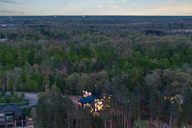 There are a handful of properties on Gull Lake where the setting - photo 10