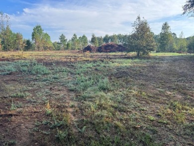 Lake Acreage For Sale in Oxford, Mississippi