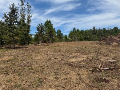 THE LAFAYETTE 22.5, TRACT B, OFFERS 22.5 ACRES IN TAYLOR - photo 2