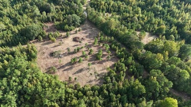 THE LAFAYETTE 22.5, TRACT B, OFFERS 22.5 ACRES IN TAYLOR - photo 3