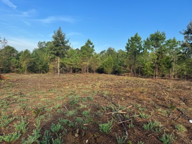 THE LAFAYETTE 22.5, TRACT B, OFFERS 22.5 ACRES IN TAYLOR - photo 4