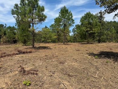 THE LAFAYETTE 22.5, TRACT B, OFFERS 22.5 ACRES IN TAYLOR - photo 5