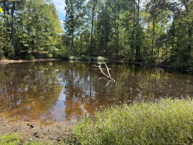 THE LAFAYETTE 22.5, TRACT B, OFFERS 22.5 ACRES IN TAYLOR - photo 6