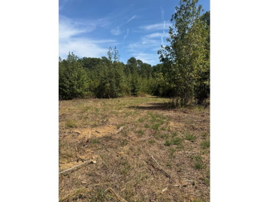THE LAFAYETTE 22.5, TRACT B, OFFERS 22.5 ACRES IN TAYLOR - photo 7