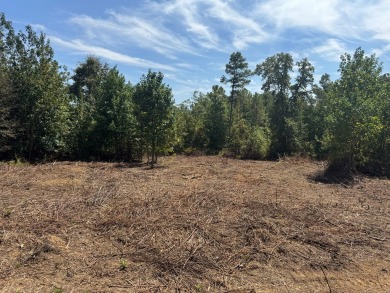 THE LAFAYETTE 22.5, TRACT B, OFFERS 22.5 ACRES IN TAYLOR - photo 8