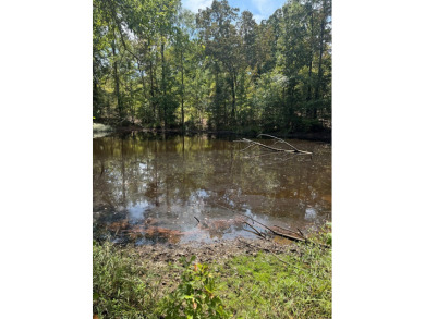 THE LAFAYETTE 22.5, TRACT B, OFFERS 22.5 ACRES IN TAYLOR - photo 9