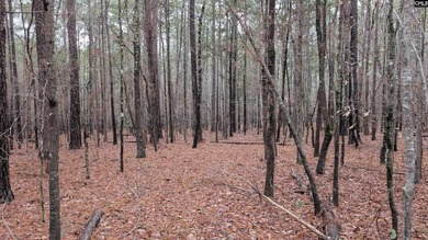 Here is your opportunity to own a large 13.79 acre parcel only - photo 11