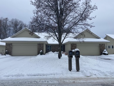 Lake Condo For Sale in Rockford, Michigan