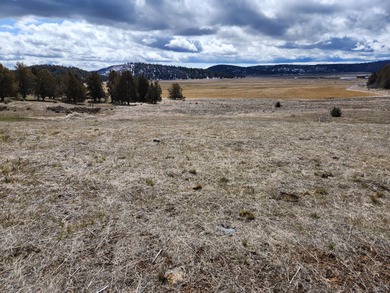 Upper Klamath Lake Lot For Sale in Klamath Falls Oregon