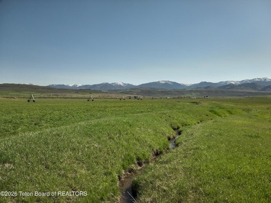160+/- Acre Irrigated Ranch for Sale | Auburn, Wyoming 1 Hour - photo 16