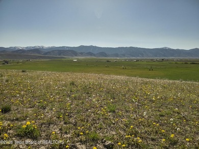 160+/- Acre Irrigated Ranch for Sale | Auburn, Wyoming 1 Hour - photo 19