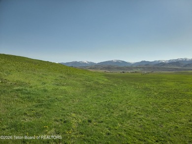 160+/- Acre Irrigated Ranch for Sale | Auburn, Wyoming 1 Hour - photo 22