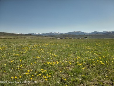 160+/- Acre Irrigated Ranch for Sale | Auburn, Wyoming 1 Hour - photo 37