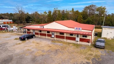 Lake Marion Commercial For Sale in Manning South Carolina