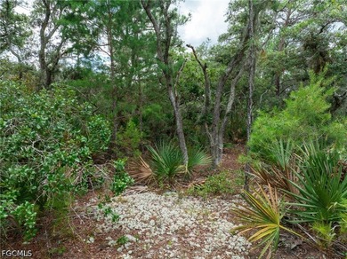 Affordable residential lot in the Leisure Lakes community of - photo 11