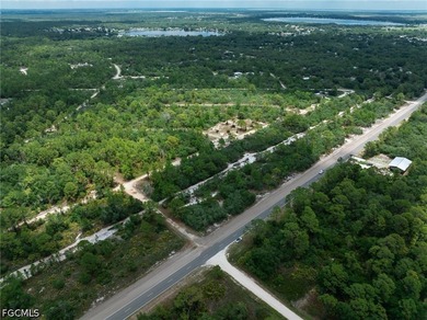 Affordable residential lot in the Leisure Lakes community of - photo 12