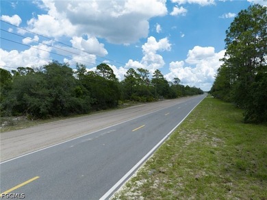Affordable residential lot in the Leisure Lakes community of - photo 14