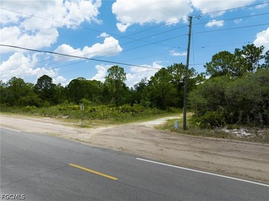 Affordable residential lot in the Leisure Lakes community of - photo 15
