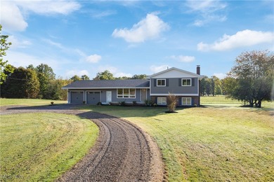 (private lake, pond, creek) Home Sale Pending in Southington Ohio